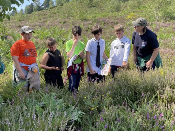 "Butterfly Conservation Project at The Stable School" Our learners engage in hands-on nature conservation, contributing to butterfly protection and habitat preservation in Christchurch.