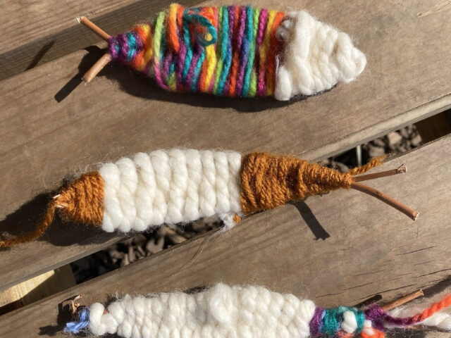 DIVE Bushcraft Session at St Catherine’s Hill Inspires Outdoor Learning